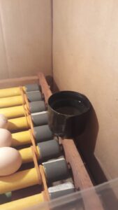 WhatsApp-Image-2025-02-02-at-18.32.46-169x300 Mesin Penetas dari Bahan Bekas